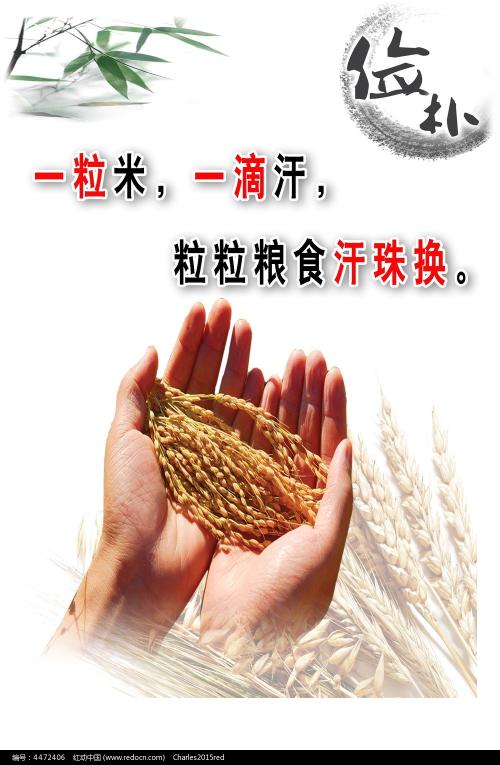 代办莫道克大学毕业证